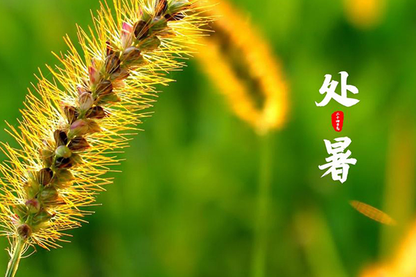 ��ҳ-KY��Ԫ���Źٷ���վ