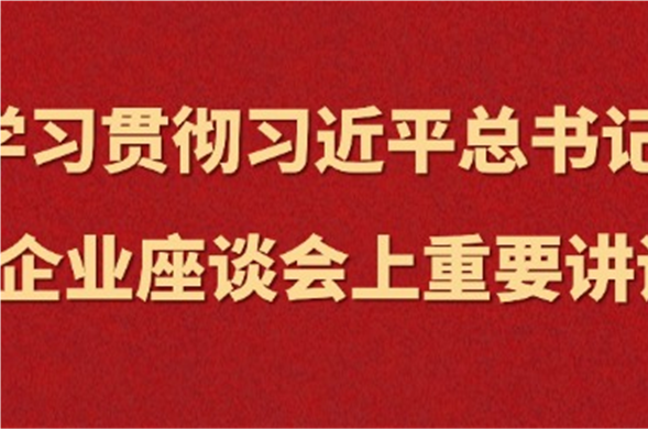 PP王者电子集团集中进建习近平总书记在民营企业座谈会上沉要讲话心灵